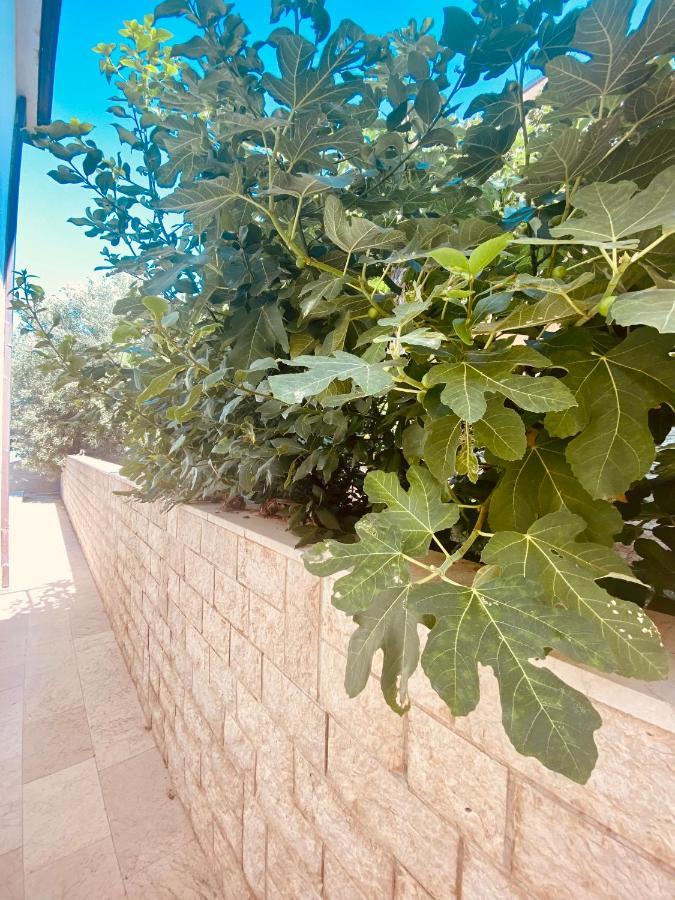 Hotel Buenavista Beach House Trogir Mastrinka Exterior photo